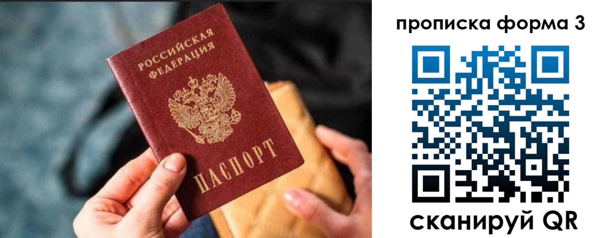 прописка гарантия в Опочке